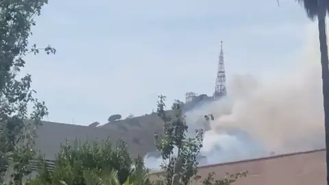 Incendio forestal en Collserola Incendio forestal en Collserola