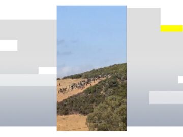 Decenas de inmigrantes intentan cruzar irregularmente la frontera entre Ceuta y Marruecos.