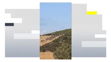 Decenas de inmigrantes intentan cruzar irregularmente la frontera entre Ceuta y Marruecos. Decenas de inmigrantes intentan cruzar irregularmente la frontera entre Ceuta y Marruecos.