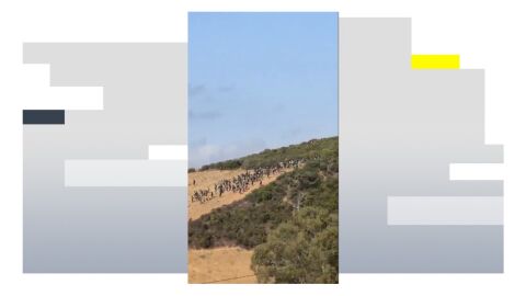 Decenas de inmigrantes intentan cruzar irregularmente la frontera entre Ceuta y Marruecos.