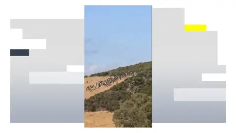 Decenas de inmigrantes intentan cruzar irregularmente la frontera entre Ceuta y Marruecos. Decenas de inmigrantes intentan cruzar irregularmente la frontera entre Ceuta y Marruecos.