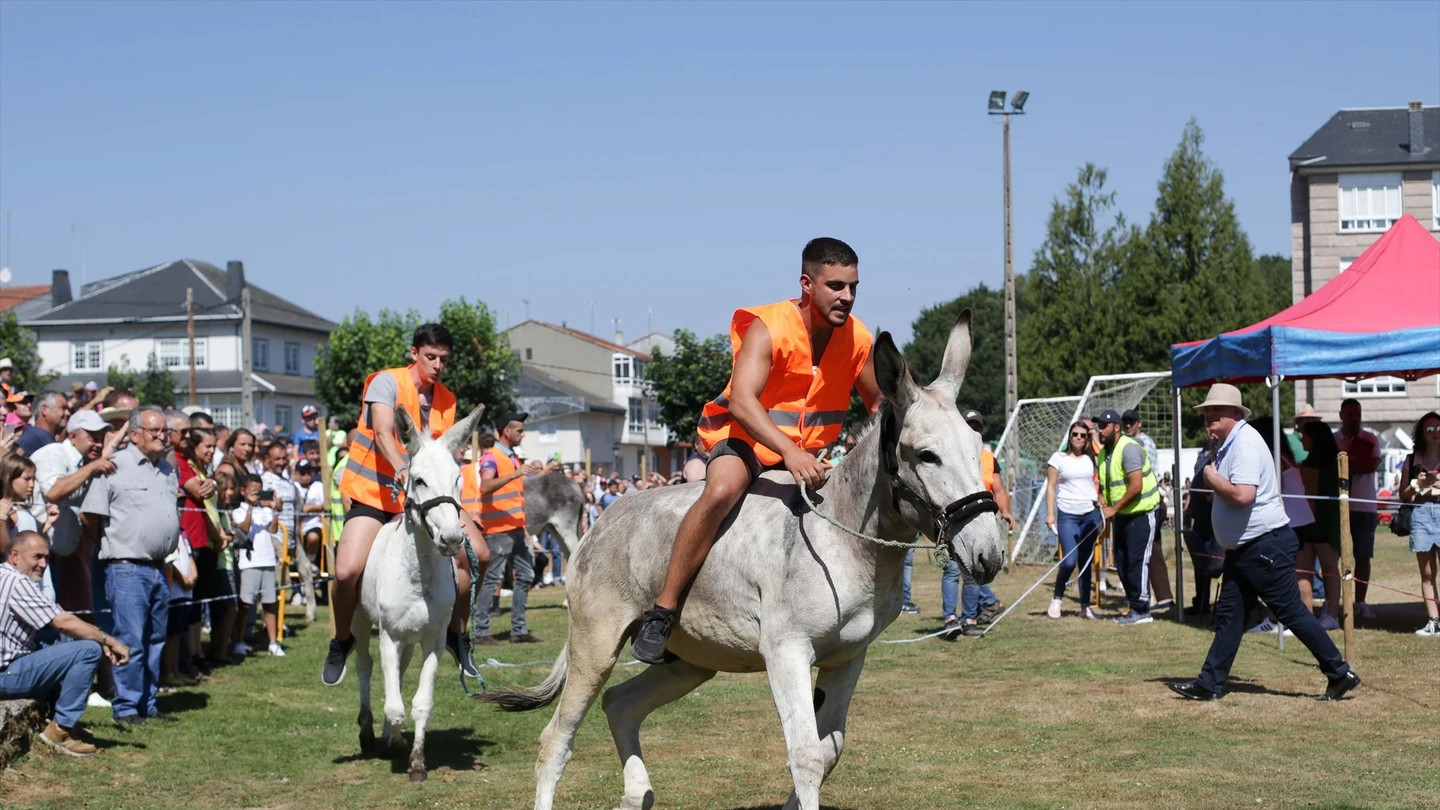 Participantes de la carrera de burros Participantes de la carrera de burros