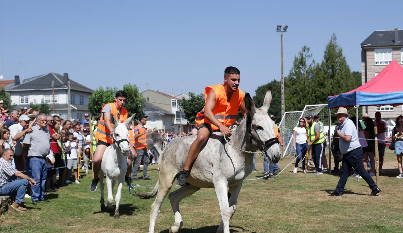 Participantes de la carrera de burros