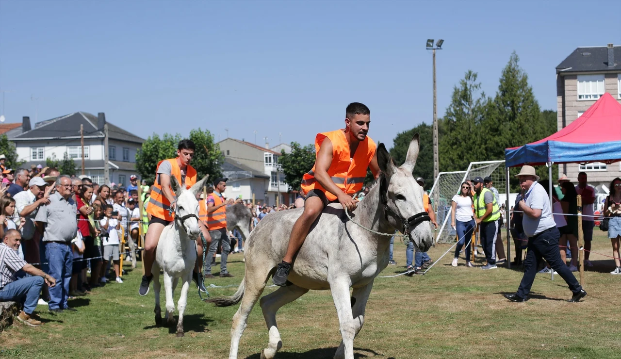 Participantes de la carrera de burros