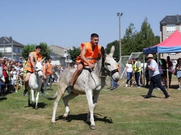 Participantes de la carrera de burros