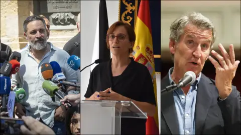 Reacciones políticas Reacciones políticas