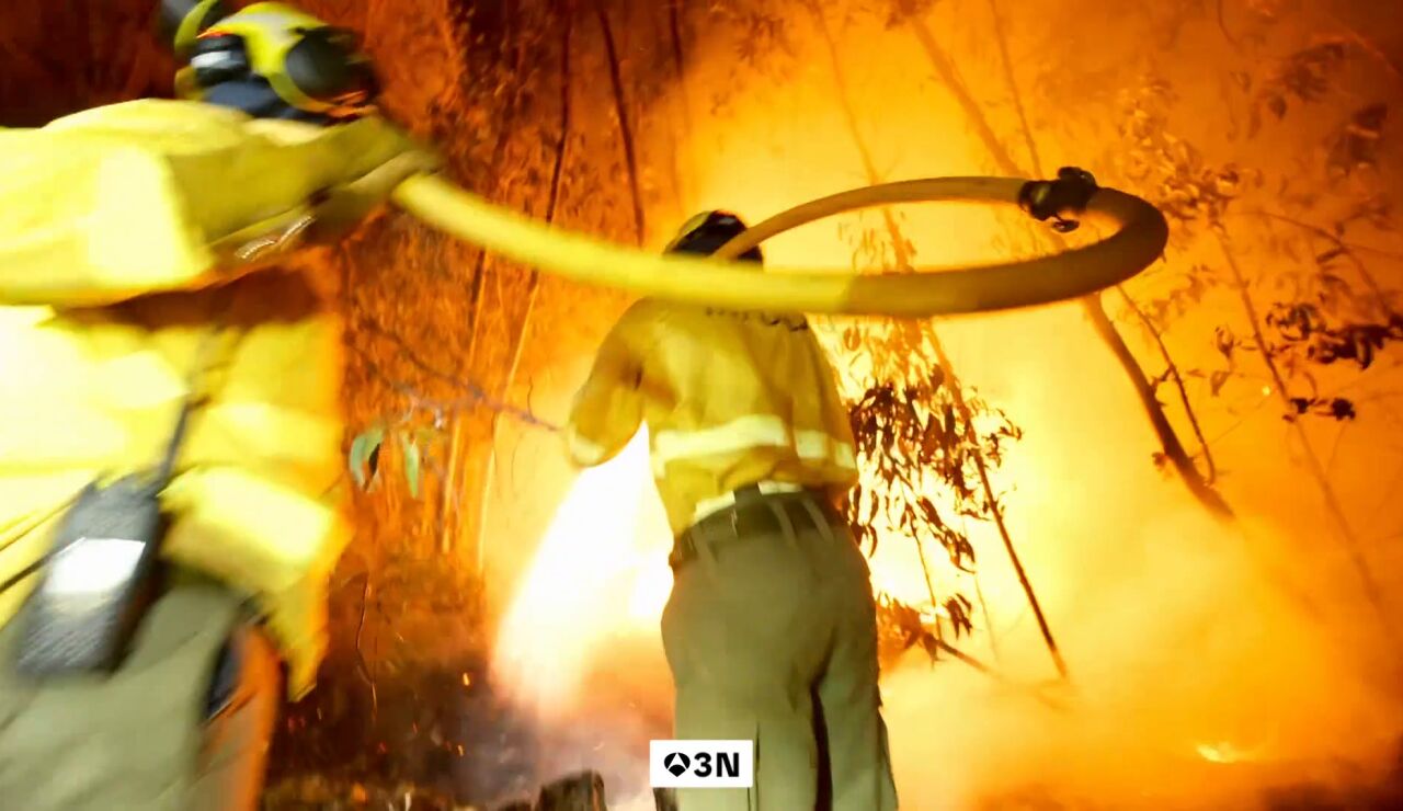 La Universidad de Le&oacute;n desarrolla una IA capaz de predecir incendios hasta 16 d&iacute;as antes