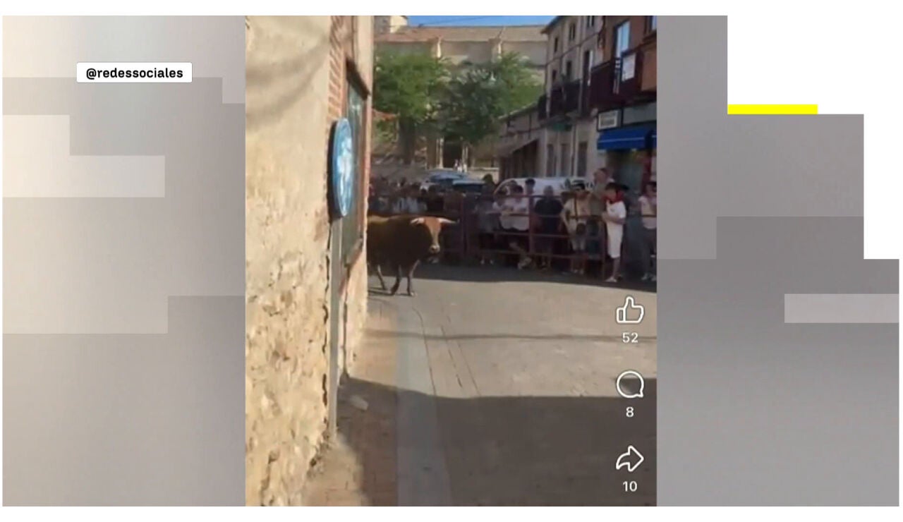 Un toro en la calle