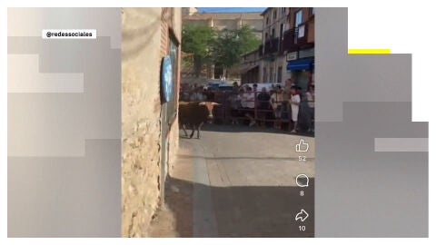 Un toro en la calle