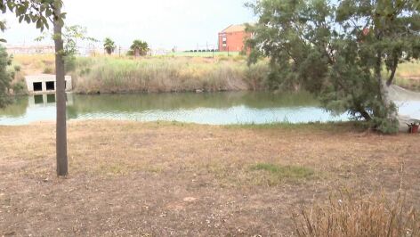 Hallan una bolsa con huesos humanos en Valencia