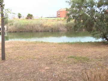 Hallan una bolsa con huesos humanos en Valencia Hallan una bolsa con huesos humanos en Valencia