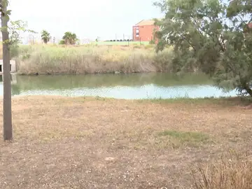 Hallan una bolsa con huesos humanos en Valencia Hallan una bolsa con huesos humanos en Valencia