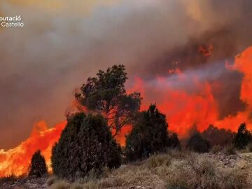 Incendio de Castell&oacute;n