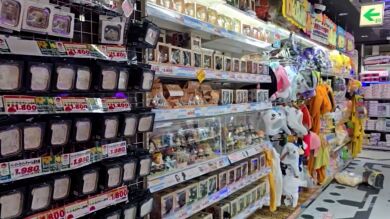 Un terremoto de 5,9 sacude Tokio y deja una docena de heridos leves