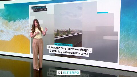 Imagen de Mercedes Mart&iacute;n 