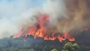 Confinan dos barrios de Barcelona por el humo del incendio de Collserola