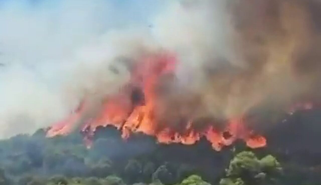 Confinan dos barrios de Barcelona por el humo del incendio de Collserola