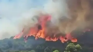 Confinan dos barrios de Barcelona por el humo del incendio de Collserola Confinan dos barrios de Barcelona por el humo del incendio de Collserola