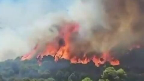 Confinan dos barrios de Barcelona por el humo del incendio de Collserola