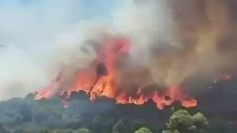 Confinan dos barrios de Barcelona por el humo del incendio de Collserola Confinan dos barrios de Barcelona por el humo del incendio de Collserola