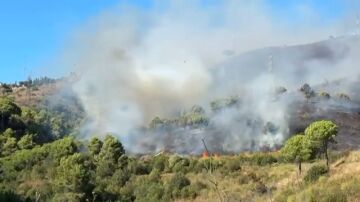 Confinan dos barrios de Barcelona por el humo del incendio en Collserola