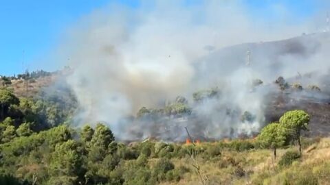 Confinan dos barrios de Barcelona por el humo del incendio en Collserola