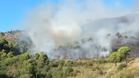 Confinan dos barrios de Barcelona por el humo del incendio en Collserola Confinan dos barrios de Barcelona por el humo del incendio en Collserola