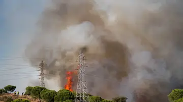 El incendio de Collserola da un respiro tras arrasar 45 hectáreas y confinar a 15.000 personas El incendio de Collserola da un respiro tras arrasar 45 hectáreas y confinar a 15.000 personas