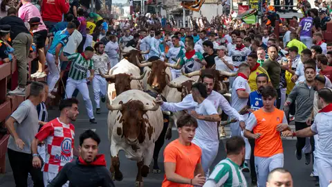 Segundo encierro de San Sebastián de Los Reyes 2026, streaming en directo Segundo encierro de San Sebastián de Los Reyes 2026, streaming en directo