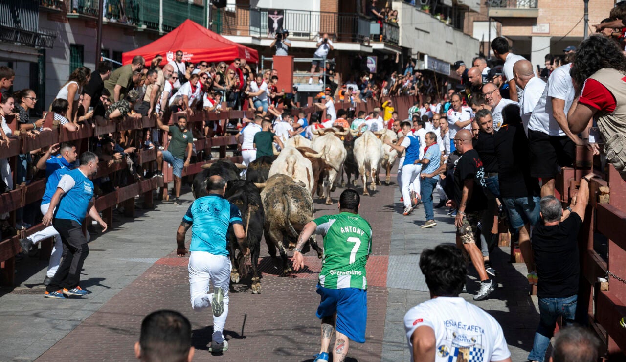 El tercer encierro de las fiestas de San Sebasti&aacute;n de los Reyes