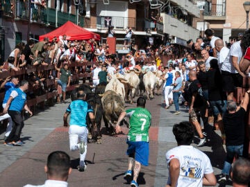 El tercer encierro de las fiestas de San Sebasti&aacute;n de los Reyes