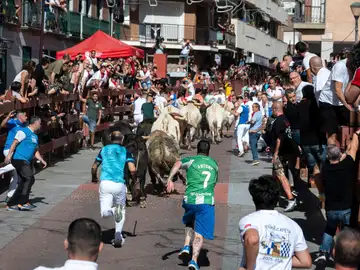 El tercer encierro de las fiestas de San Sebastián de los Reyes El tercer encierro de las fiestas de San Sebastián de los Reyes