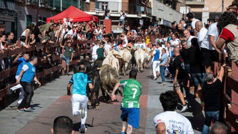 El tercer encierro de las fiestas de San Sebasti&aacute;n de los Reyes