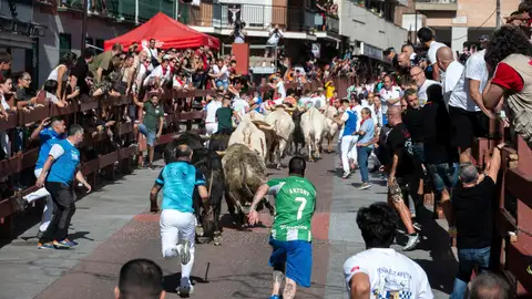 El tercer encierro de las fiestas de San Sebastián de los Reyes El tercer encierro de las fiestas de San Sebastián de los Reyes