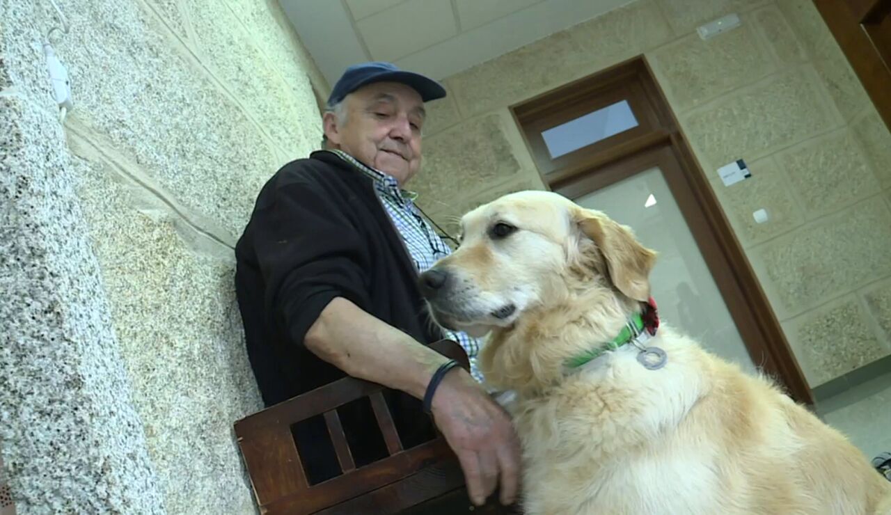 Imagen de Odie