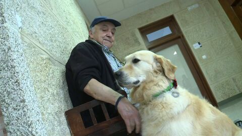 Imagen de Odie