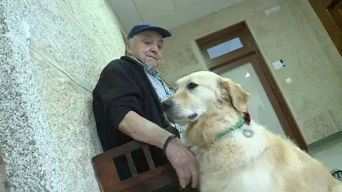 Imagen de Odie Imagen de Odie