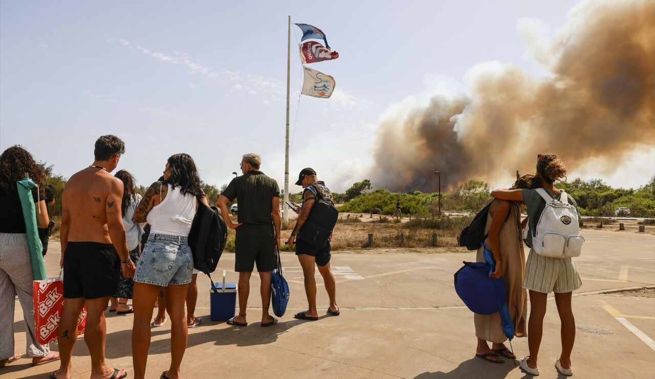 Incendio forestal pr&oacute;ximo al parque natural de La Albufera