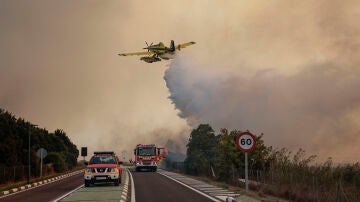 Imagen de un hidroavi&oacute;n realizando una descarga de agua