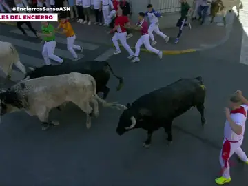 Así ha sido el quinto encierro de San Sebastián de Los Reyes 2026 Así ha sido el quinto encierro de San Sebastián de Los Reyes 2026