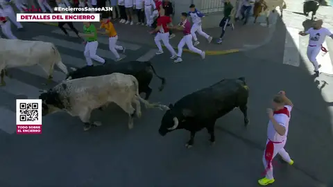 Así ha sido el quinto encierro de San Sebastián de Los Reyes 2026 Así ha sido el quinto encierro de San Sebastián de Los Reyes 2026