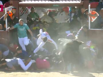 Montonera encierro Sanse 2026