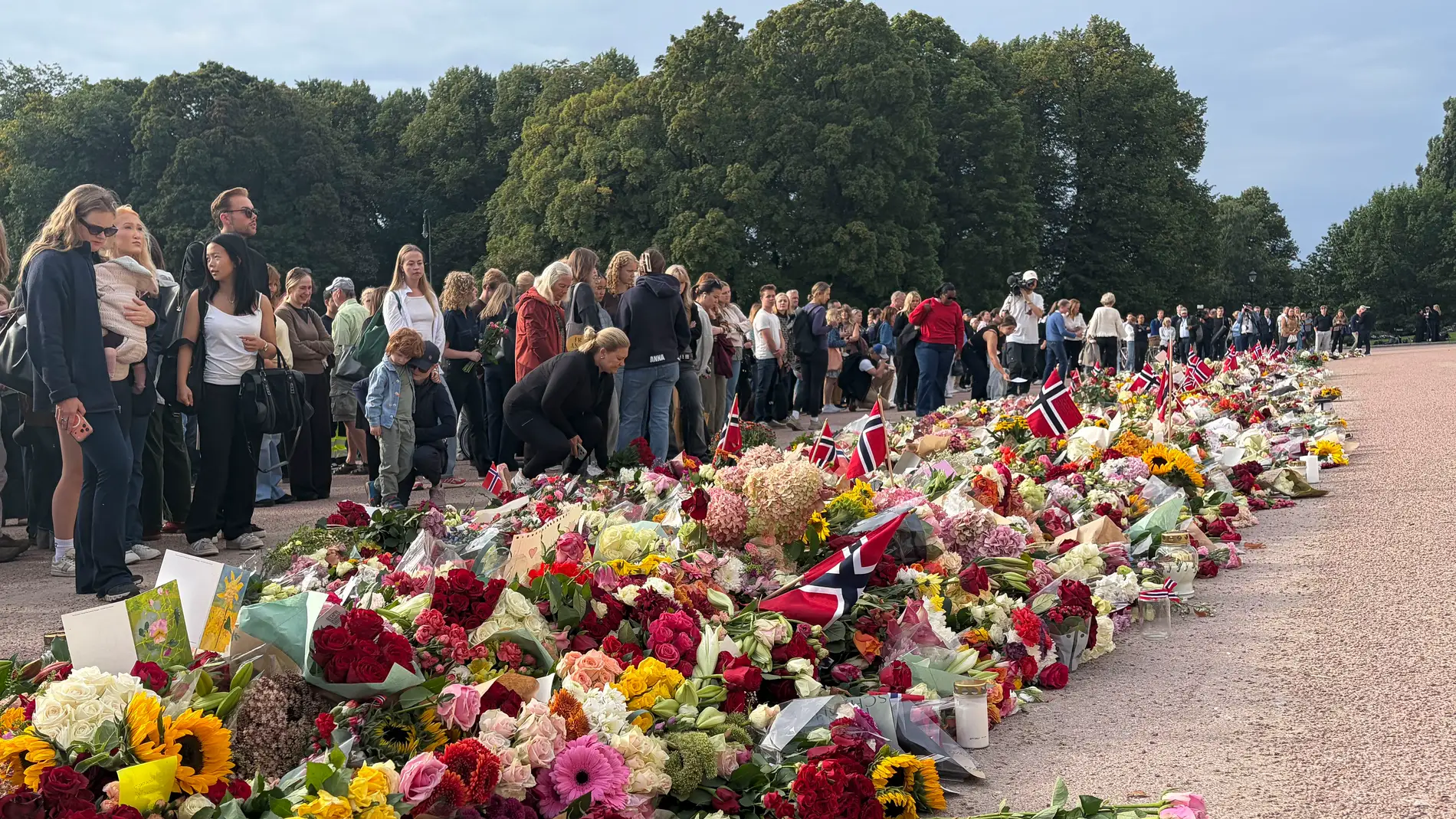 ¿Qué pasará ahora tras la muerte de Harald V? Así será la sucesión de Haakon y su proclamación como nuevo rey de Noruega ¿Qué pasará ahora tras la muerte de Harald V? Así será la sucesión de Haakon y su proclamación como nuevo rey de Noruega
