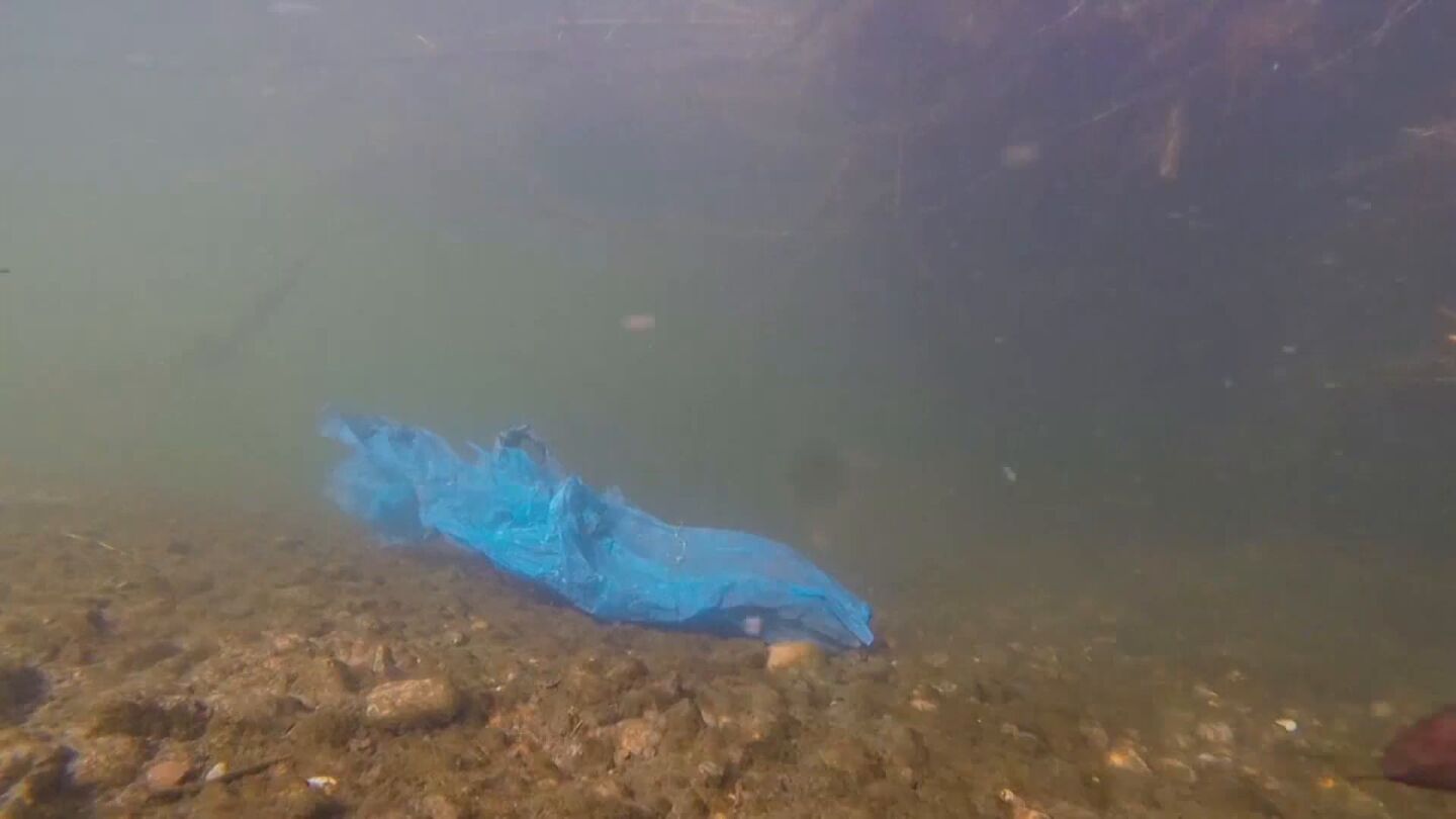 Imagen de un trozo de pl&aacute;stico en el agua 