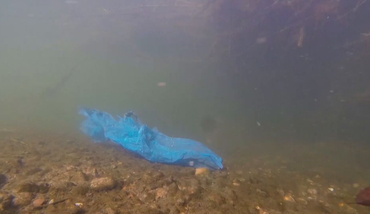 Imagen de un trozo de pl&aacute;stico en el agua 