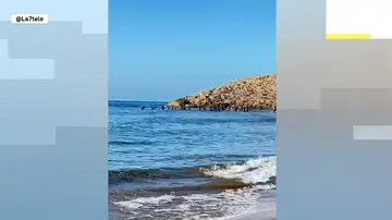 Playa de Calblanque, Murcia Playa de Calblanque, Murcia