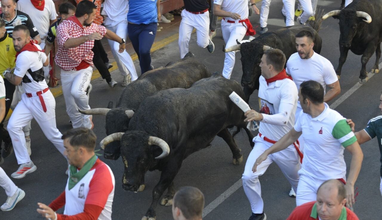 Encierro de San Sebasti&aacute;n de los Reyes