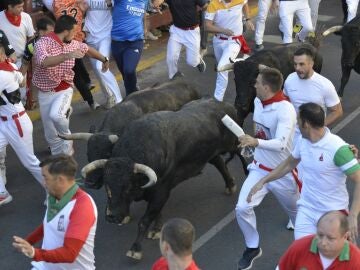 Encierro de San Sebasti&aacute;n de los Reyes