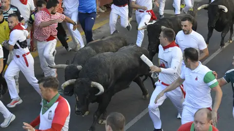 Encierro de San Sebastián de los Reyes Encierro de San Sebastián de los Reyes