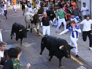 Imagen de un encierro en San Sebasti&aacute;n de los Reyes